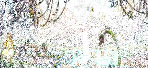 façons maison d'agrandir votre pénis